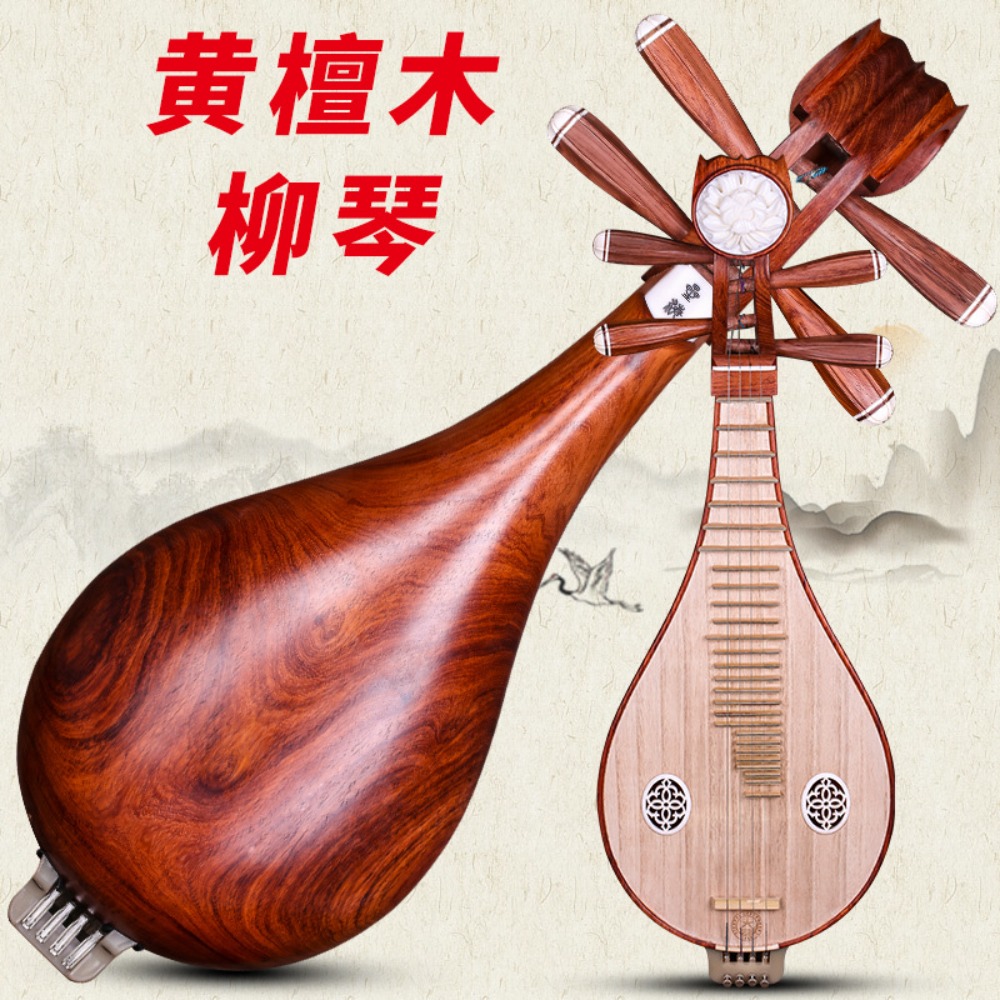 آلة ليوتشين الصينية التقليدية  - مراجعة Musical Instrument Of وسعره
