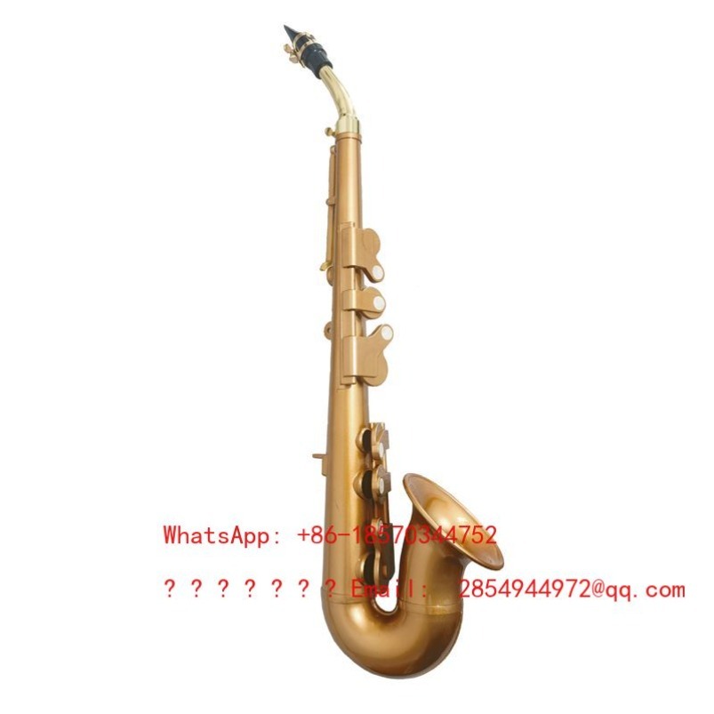 ساكسفون من الراتنج، آلة موسيقي - مراجعة Musical Instrument Easy To Learn وسعره