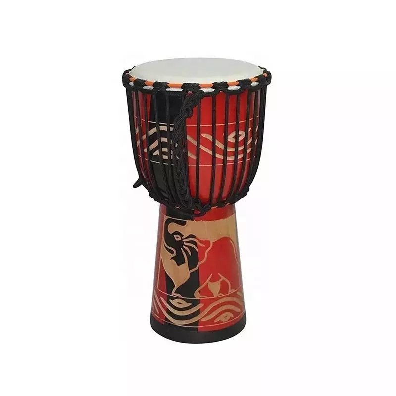الكبار Size12 بوصة الأفريقية D - مراجعة Musical Instrument Logo وسعره